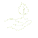 Рекомендации по применению