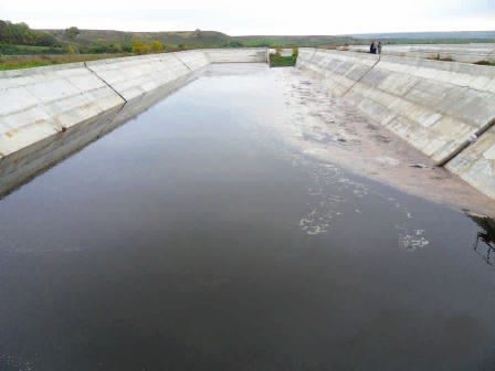 Применение биопрепаратов в свиноводстве Применение биопрепаратов в свиноводстве
